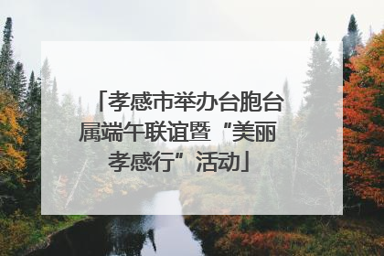 孝感市举办台胞台属端午联谊暨“美丽孝感行”活动